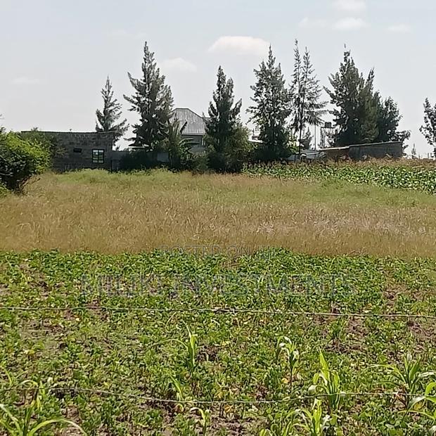 40 by 60 Ft Plot on Sale at Joska - thumbnail 8