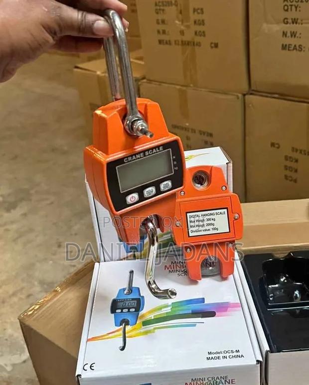 Brand New Affordable /300kgs Mini Crane Scale