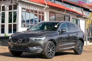 Volvo XC60 2020 Gray
