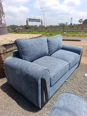 Elegant Gray Sofa Set