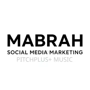Social Media Growth/Account Boosting Services