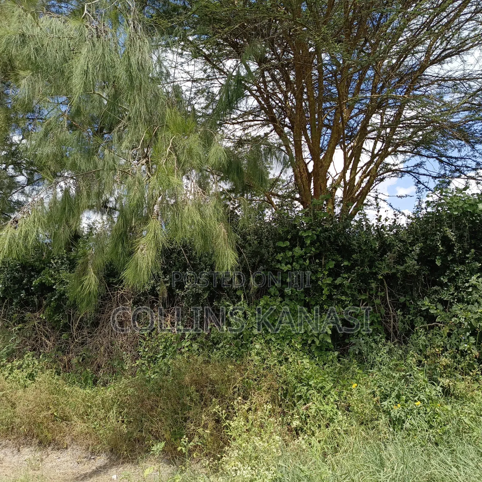 Prime Land