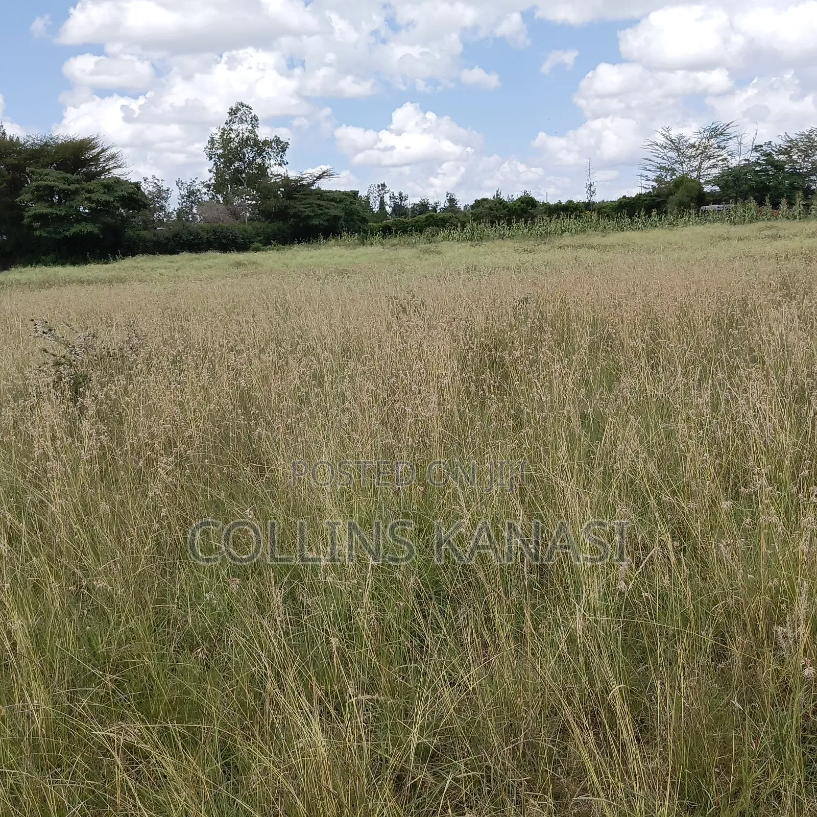 Prime Land