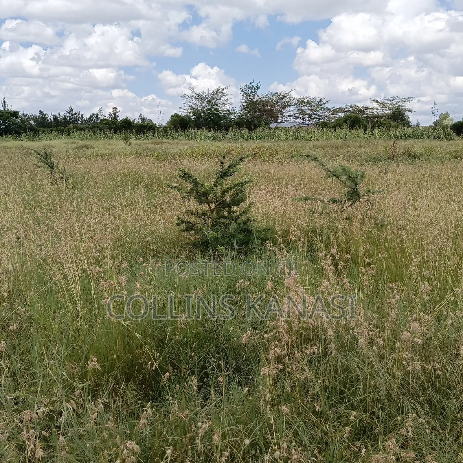 Prime Land