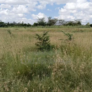 Prime Land