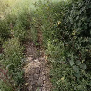 Prime Land