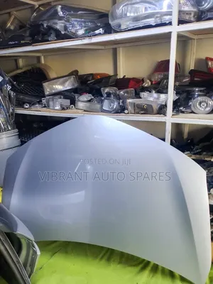 Axio / Fielder 165 Bonnet 2015-2018