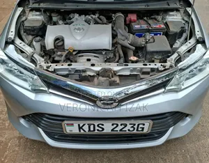 Toyota Corolla Fielder 2017 Silver