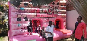Bouncing Castle for Hire