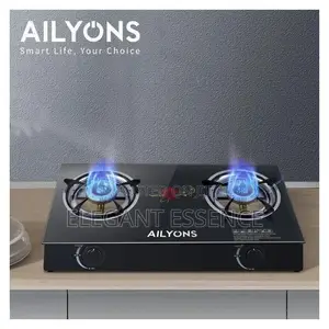 2 Burner Glass Top Gas Cooker Infrared Double Burner