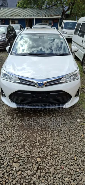 Toyota Corolla Fielder 2019 White