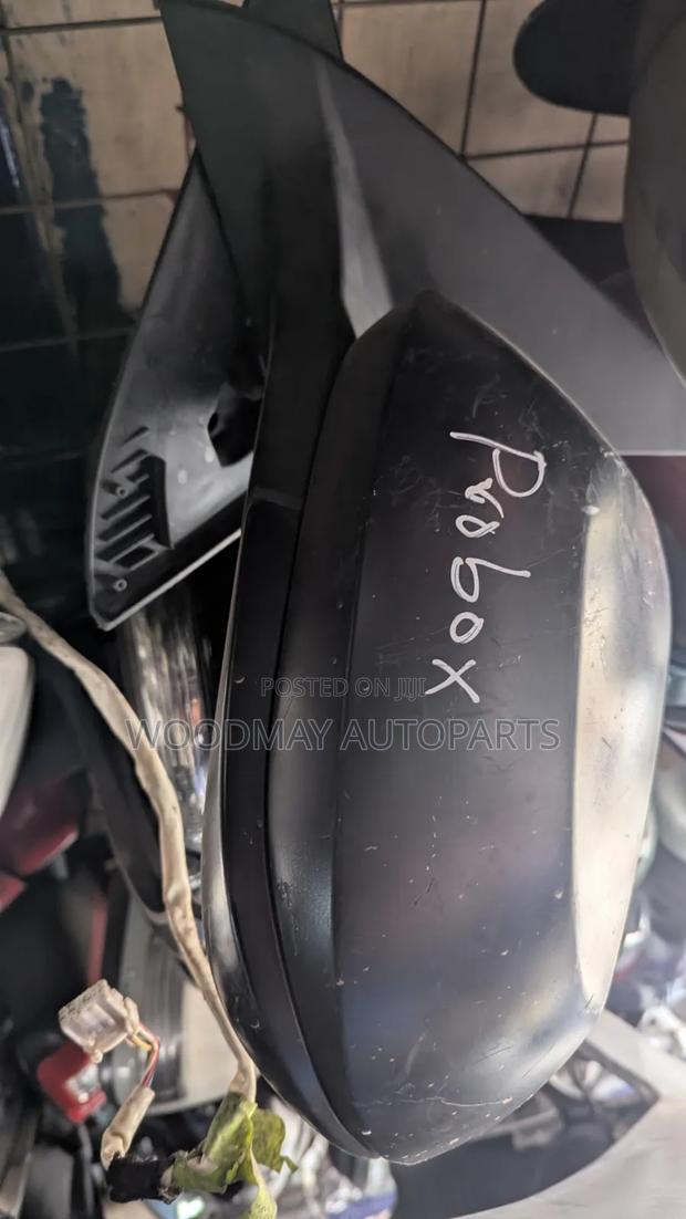 Toyota Probox Sidemirror