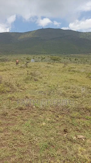 Prime 50 × 100 Plot/Land For Sale In Ngong Kimuka