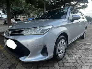Toyota Corolla Fielder 2019 Silver