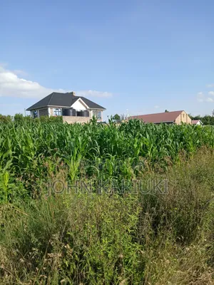 50x100 Plots in Naivasha Karai Opposite Keroche Entrance One Kilometre