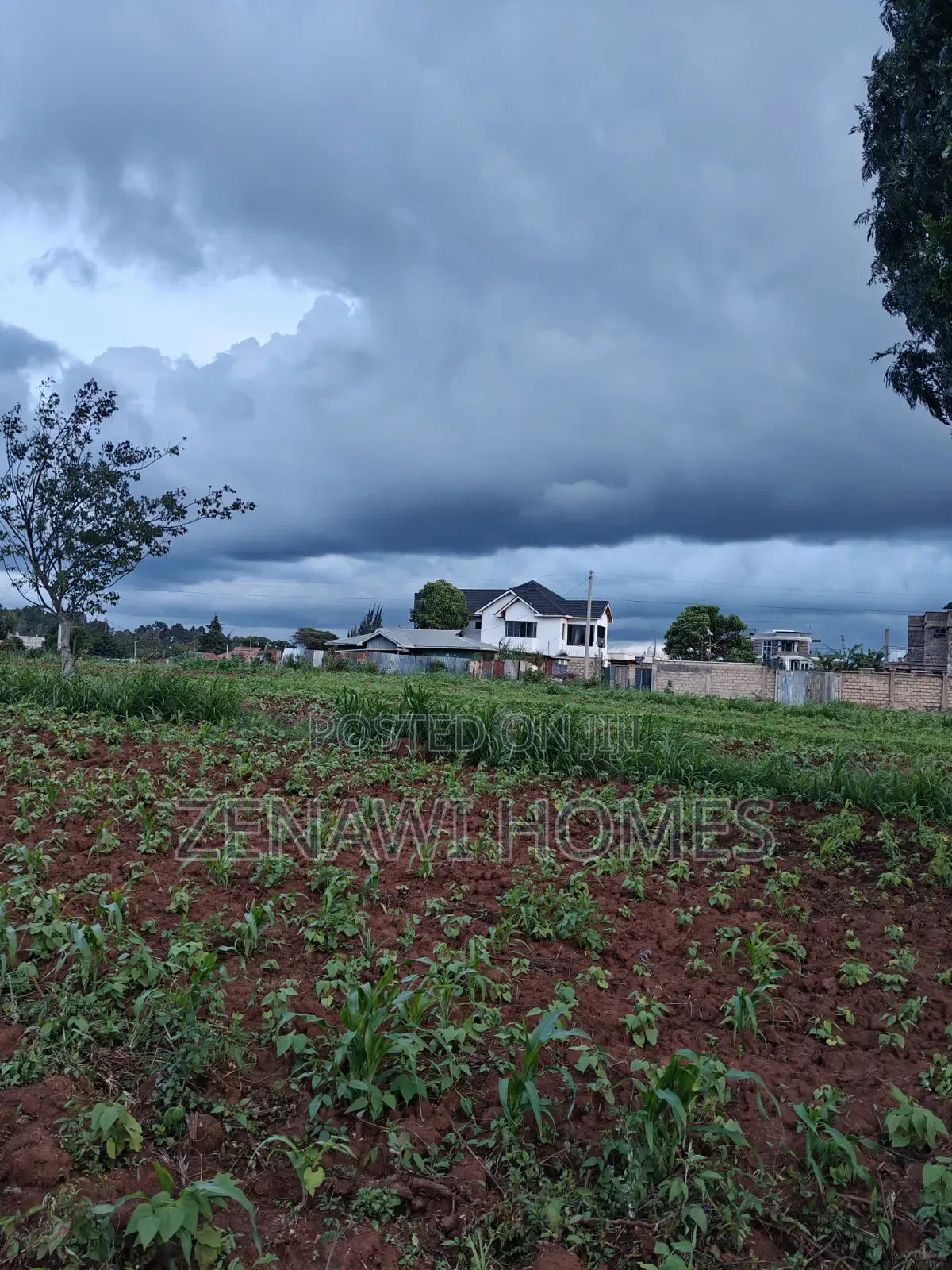 Buy and Build in Kikuyu Kamangu:Mj