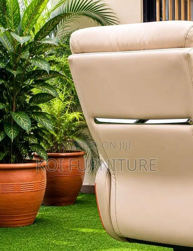 Office Chairs; Executive Seniors Ceo Presidents Office Chairs