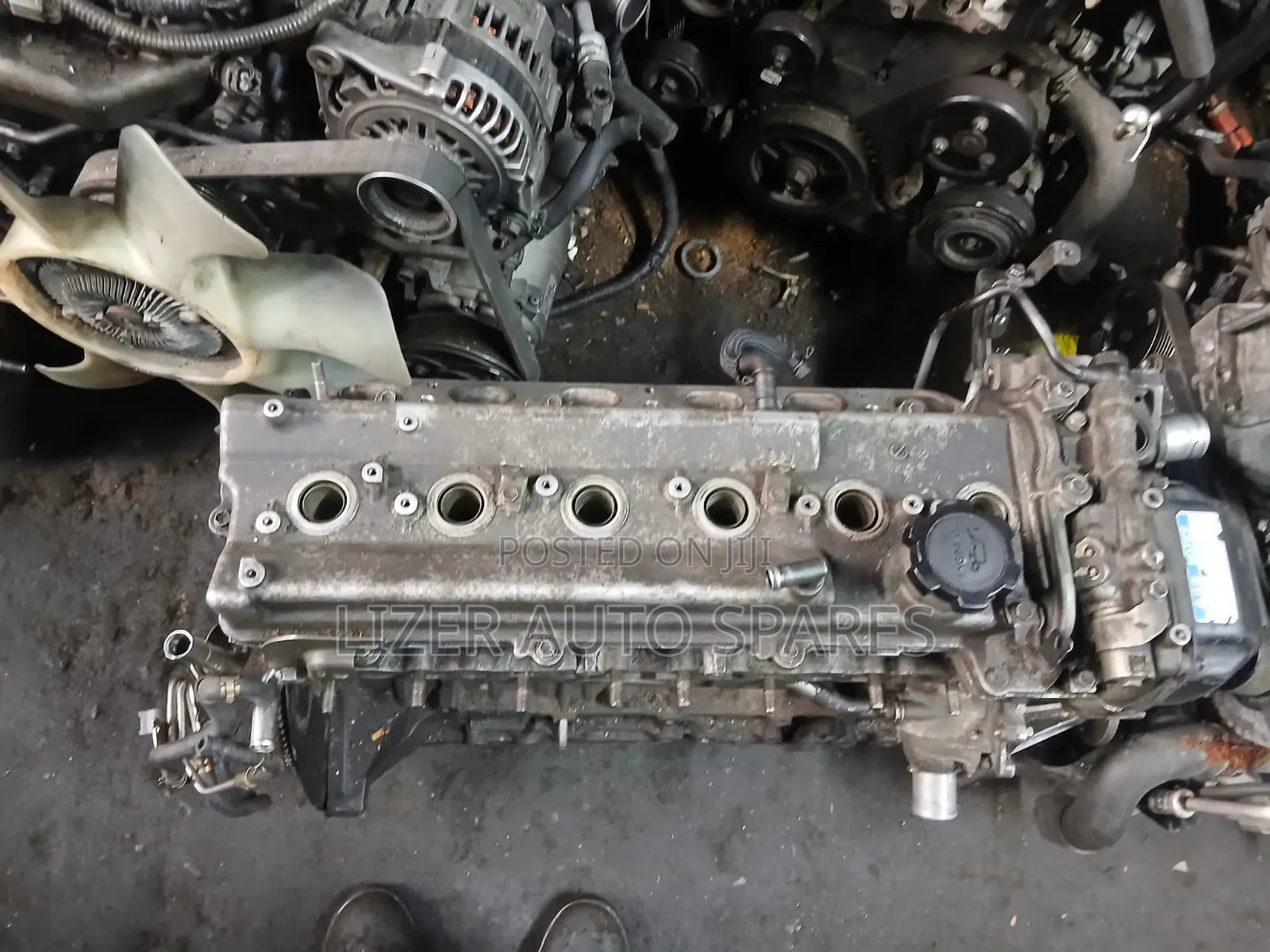 Slim Engine 1g