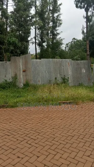 Safari Park Thome 1/2 Acre Ready Title Quick Sale 42 Millions