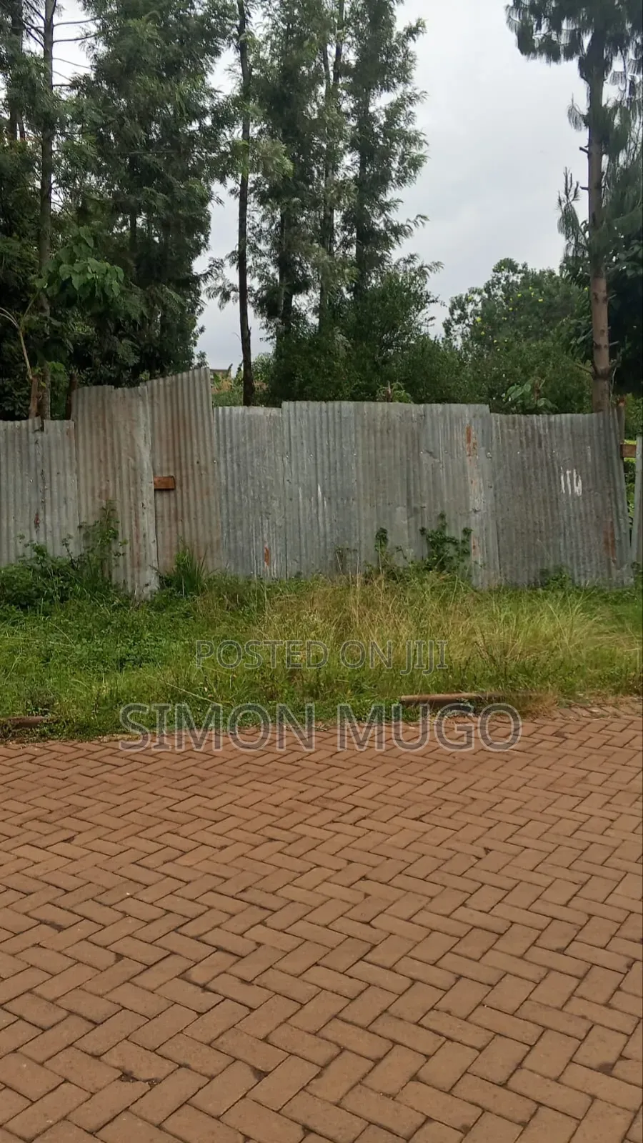 Safari Park Thome 1/2 Acre Ready Title Quick Sale 42 Millions