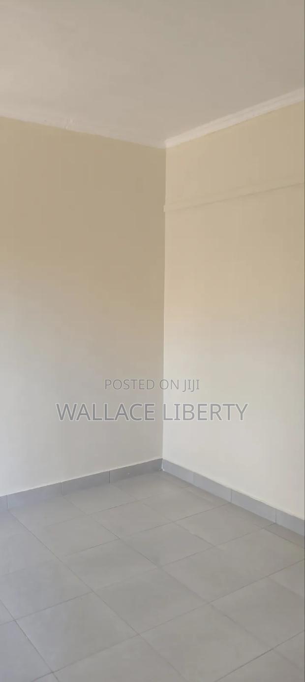 1bdrm Bedsitter in Ruthimitu for rent - main view