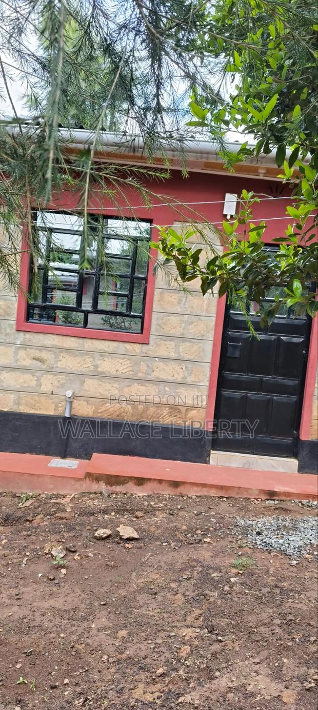 1bdrm Bedsitter in Ruthimitu for rent - thumbnail 4