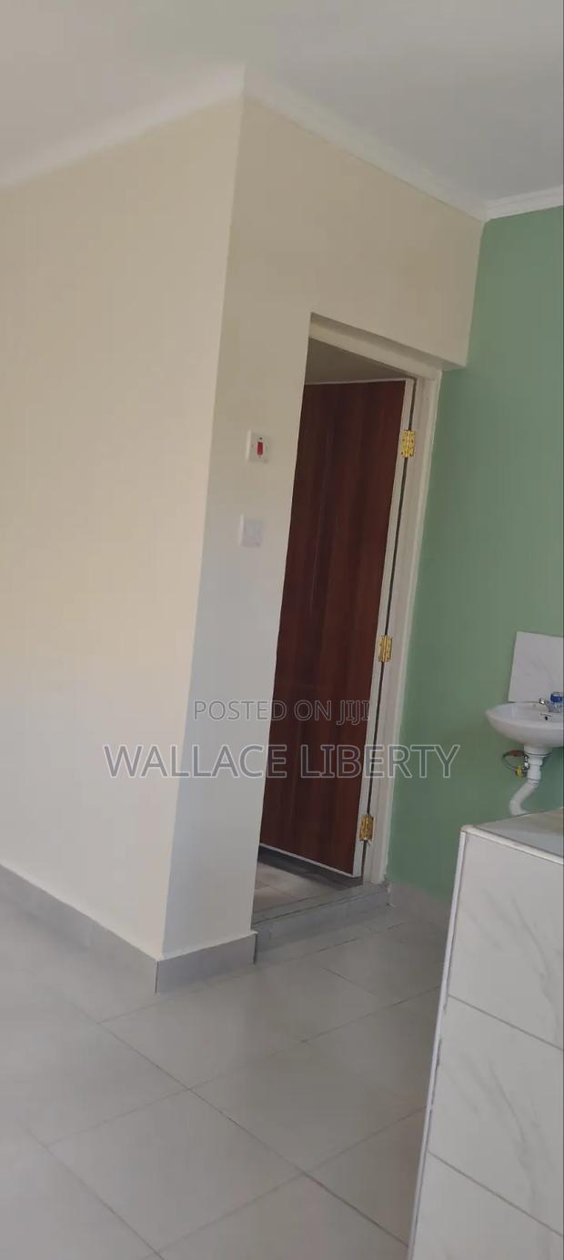 1bdrm Bedsitter in Ruthimitu for rent - thumbnail 10