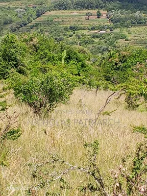 10 Acres Wamunyu Lema Selling at Per Acre