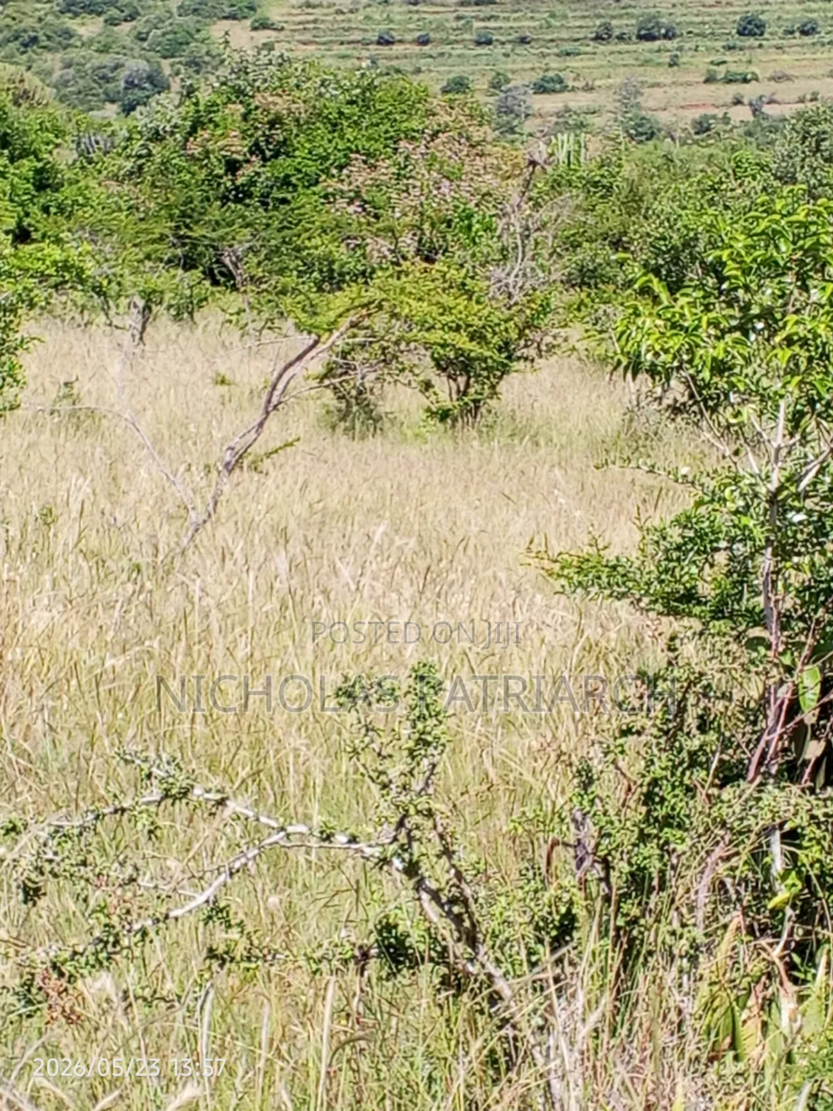 10 Acres Wamunyu Lema Selling at Per Acre