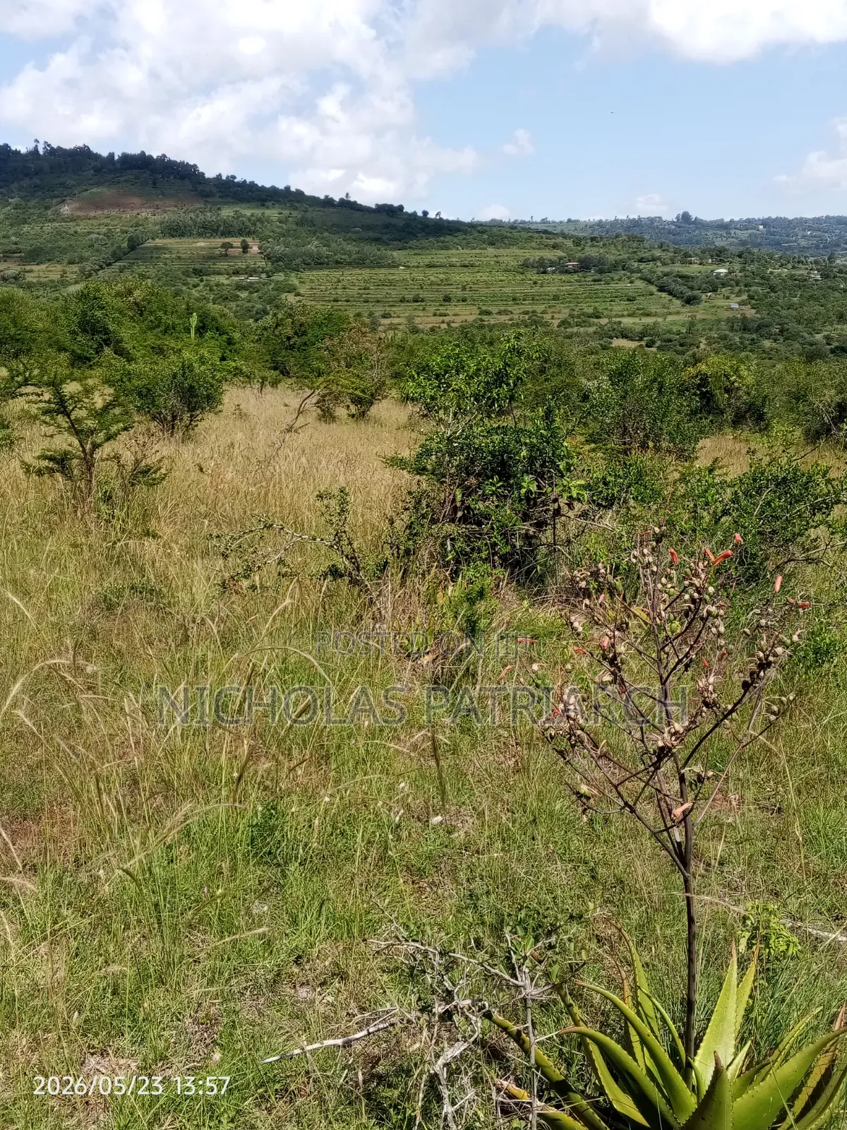 10 Acres Wamunyu Lema Selling at Per Acre