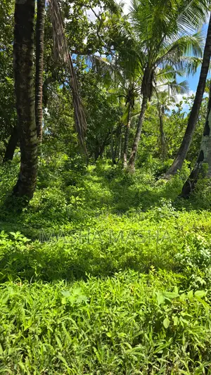 50x100 Plots Main Road Vipingo Starting Freehold Title