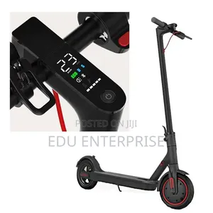 Electric Scooter/Scooter