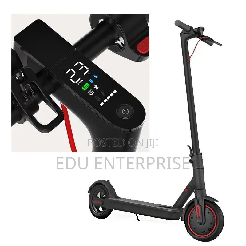 Electric Scooter/Scooter