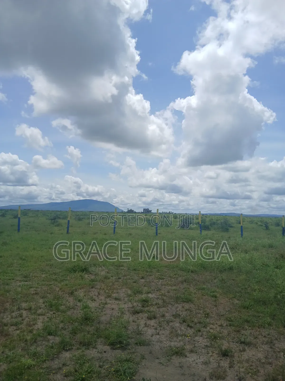 Mwalimu Farm Kamakis Ruiru