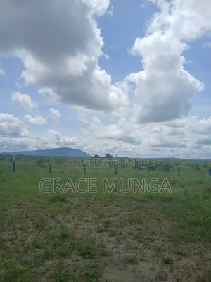 Mwalimu Farm Kamakis Ruiru