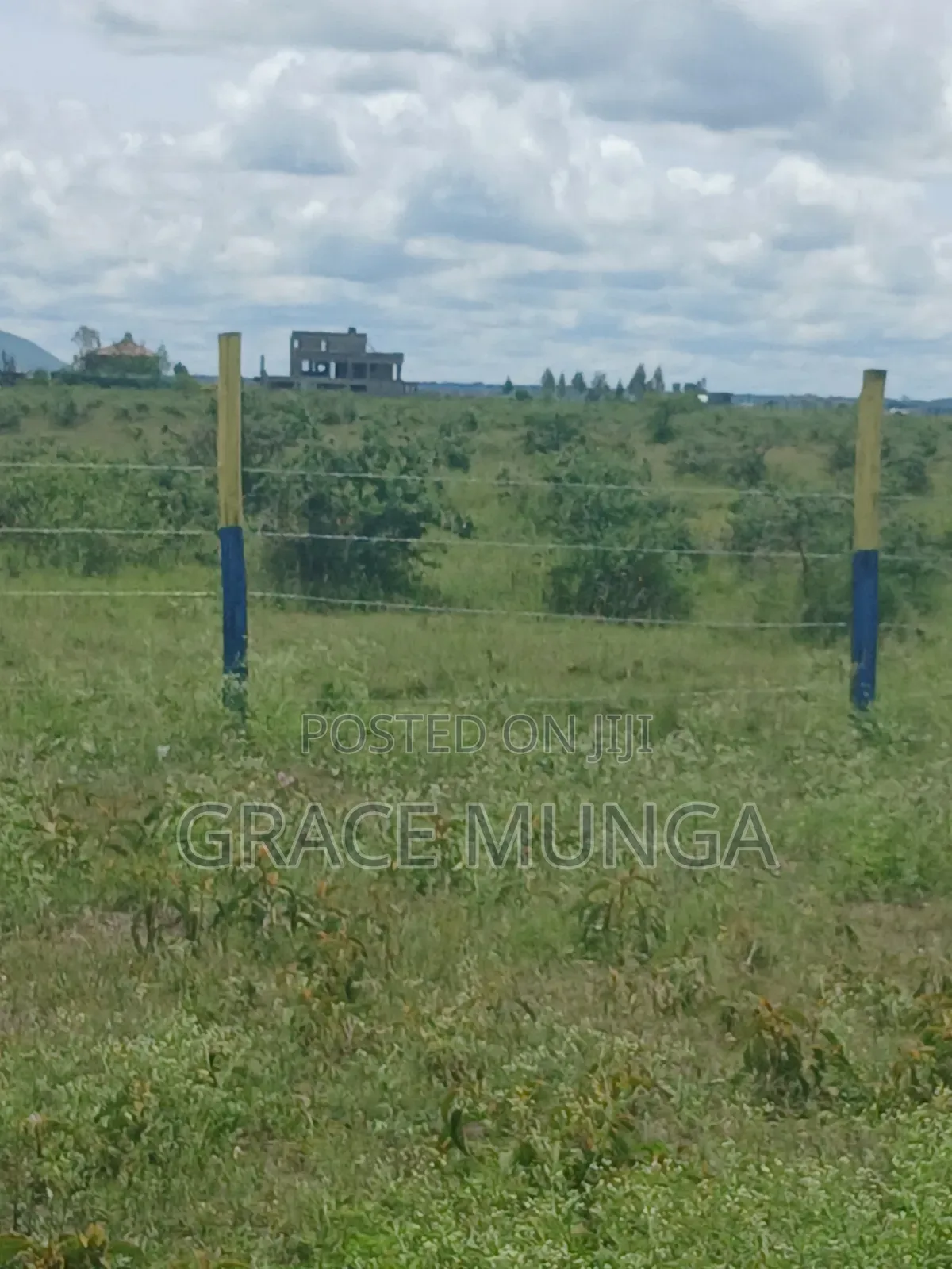 Mwalimu Farm Kamakis Ruiru
