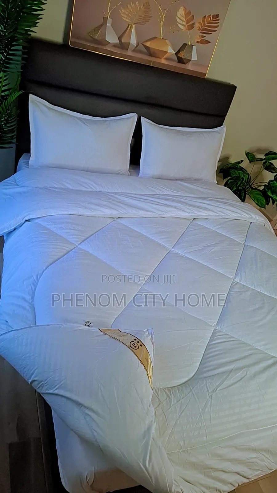Tc White Cotton Binded Duvet Set Restocked