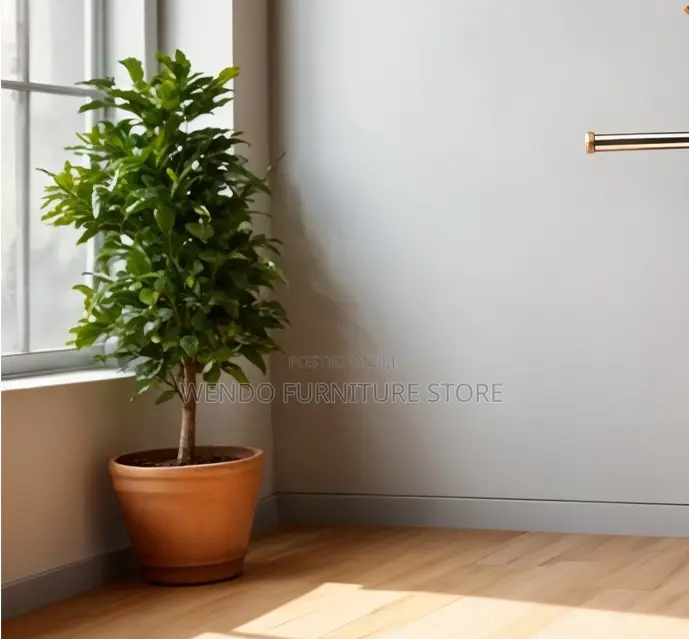 Hangers; Mahogany Long Office Coat and Hat Hangers