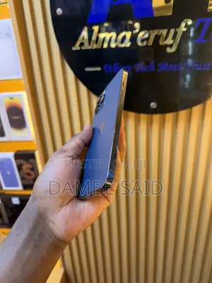 Apple iPhone 12 Pro Max 256 GB Blue