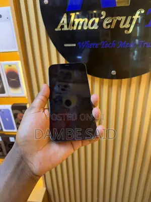Apple iPhone 12 Pro Max 256 GB Blue
