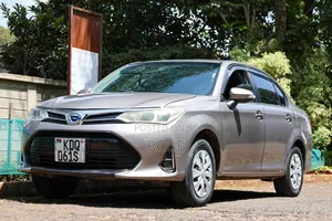 Toyota Axio 2017 Gray