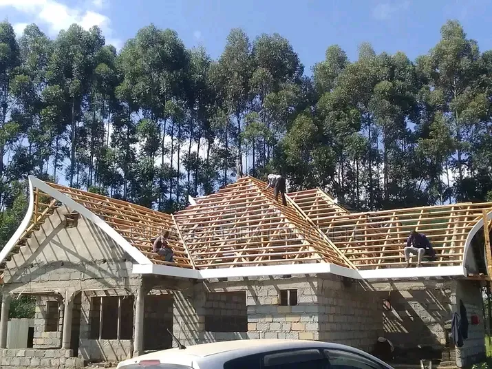 Roofing Specialist
