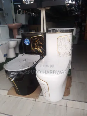 Frencia One Body Toilet