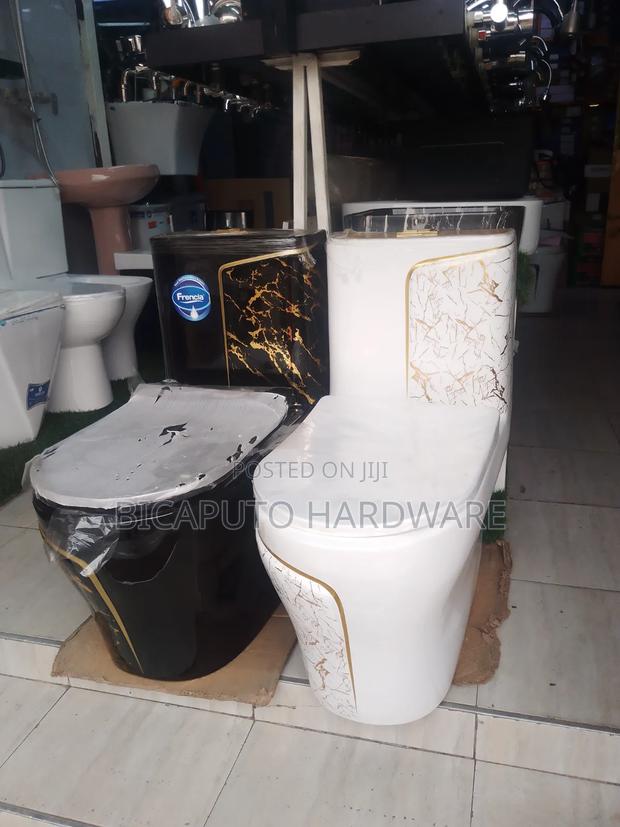 Frencia One Body Toilet