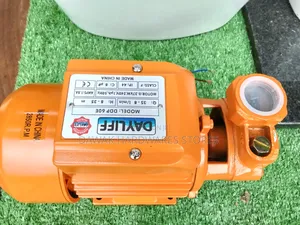 The Dayliff DPP Booster Pump