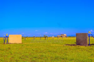 Buy and Build in Muthaara Jr