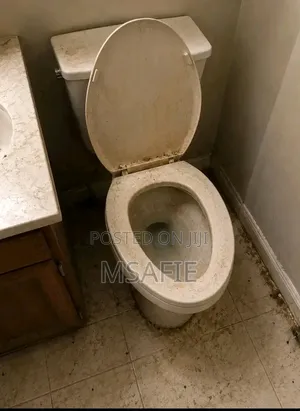 Msafie Cleaning Services