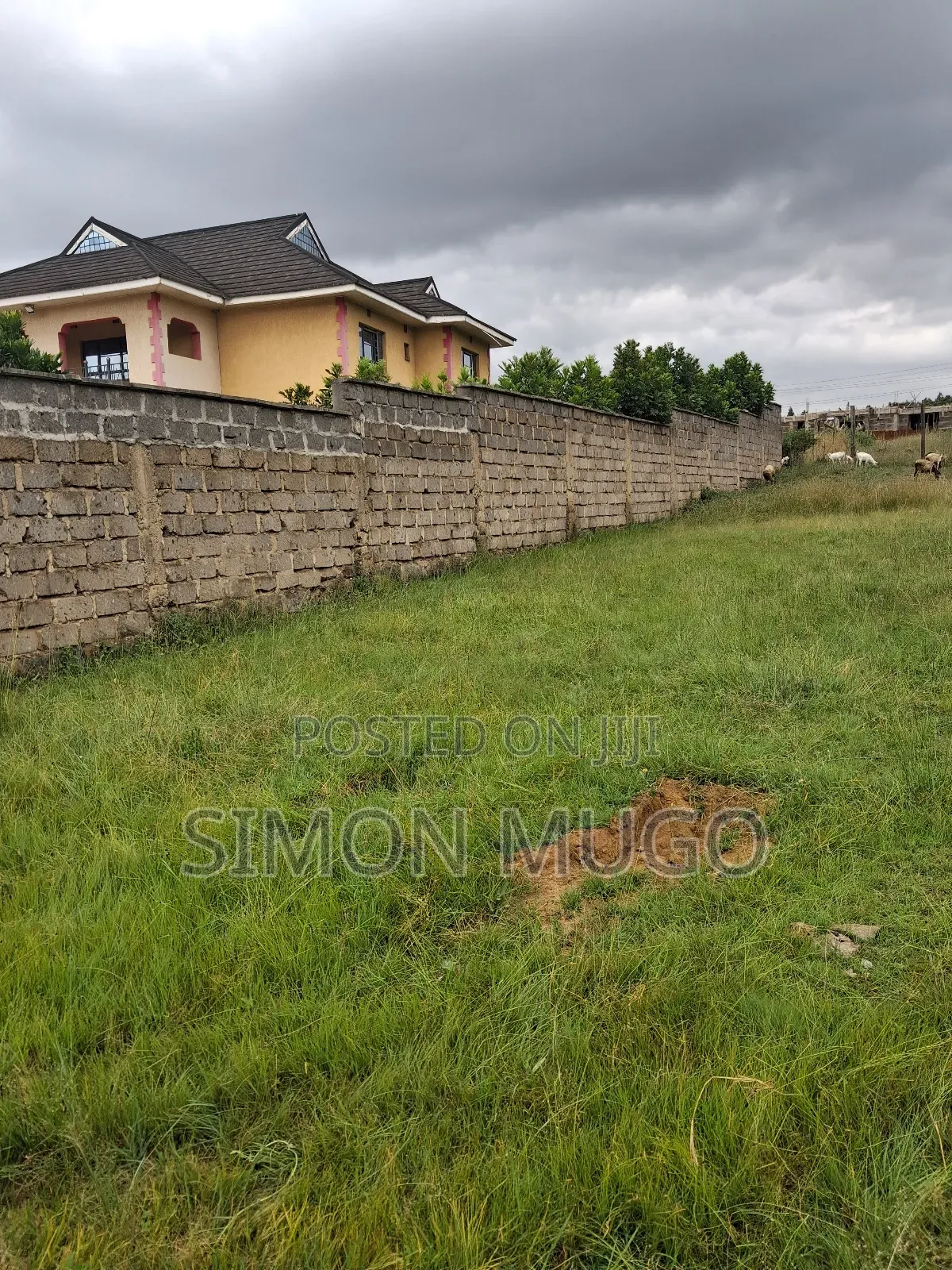 Membly Pavilion Court Well Drained Murrum Soil 1/4 Acre Ready Title