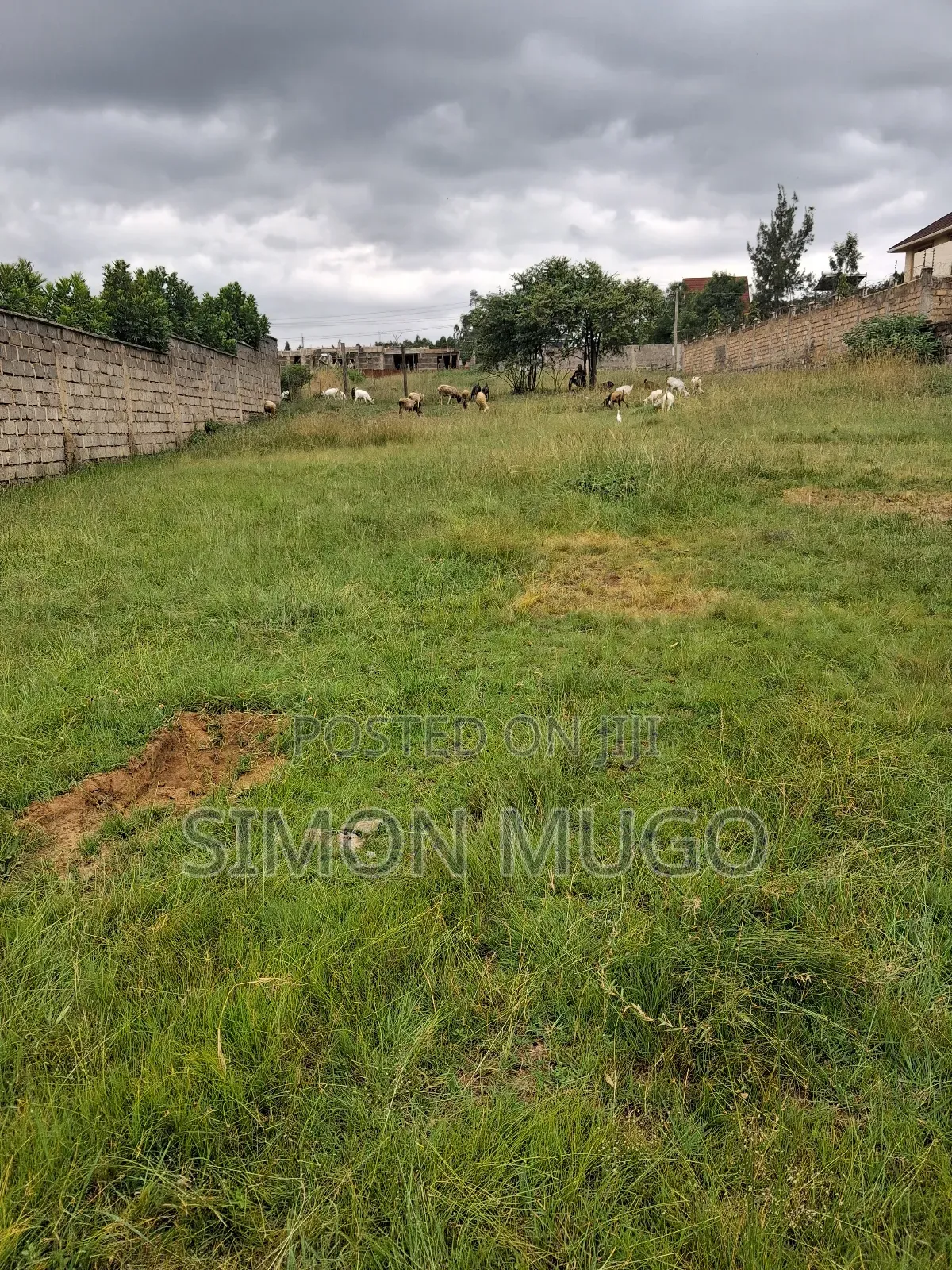 Membly Pavilion Court Well Drained Murrum Soil 1/4 Acre Ready Title