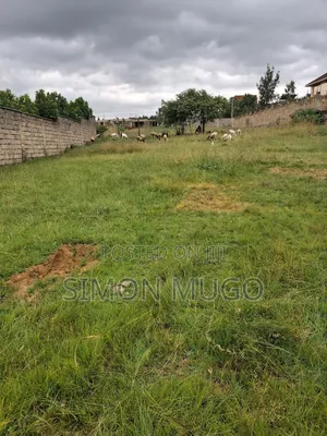 Membly Pavilion Court Well Drained Murrum Soil 1/4 Acre Ready Title
